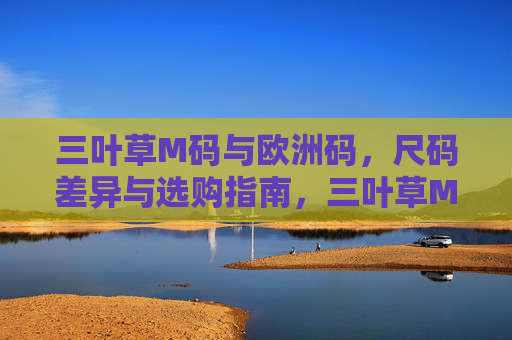 三叶草M码与欧洲码,尺码差异与选购指南,三叶草M码与欧洲码尺码差异及选购指南 三叶草M码与欧洲码,尺码差异与选购指南,三叶草M码与欧洲码尺码差异及选购指南