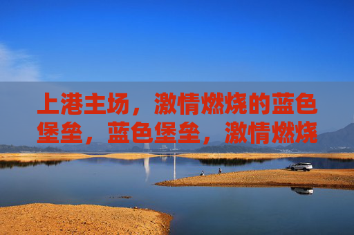 上港主场，激情燃烧的蓝色堡垒，蓝色堡垒，激情燃烧的上港主场