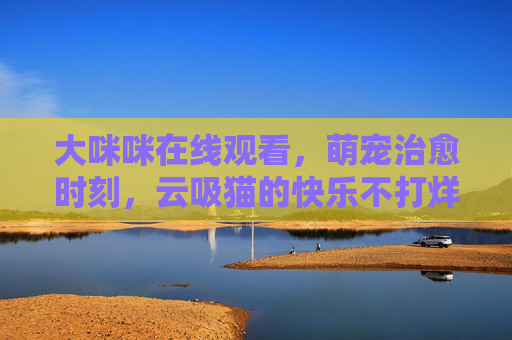 大咪咪在线观看,萌宠治愈时刻,云吸猫的快乐不打烊 大咪咪在线观看,萌宠治愈时刻,云吸猫的快乐不打烊