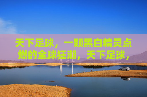 天下足球，一颗黑白精灵点燃的全球狂潮，天下足球，黑白精灵点燃全球狂潮
