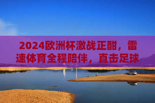 2024欧洲杯激战正酣，雷速体育全程陪伴，直击足球盛宴，雷速体育全程陪伴，直击2024欧洲杯足球盛宴