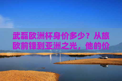 武磊欧洲杯身价多少?从旅欧前锋到亚洲之光,他的价值几何?武磊欧洲杯身价,旅欧前锋到亚洲之光的价值几何 武磊欧洲杯身价多少?从旅欧前锋到亚洲之光,他的价值几何?武磊欧洲杯身价,旅欧前锋到亚洲之光的价值几何