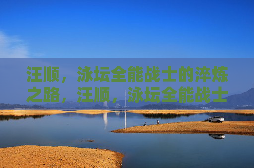 汪顺,泳坛全能战士的淬炼之路,汪顺,泳坛全能战士的淬炼之路 汪顺,泳坛全能战士的淬炼之路,汪顺,泳坛全能战士的淬炼之路