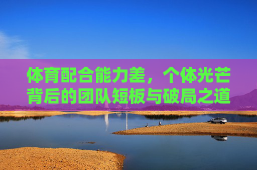 体育配合能力差,个体光芒背后的团队短板与破局之道,个体光芒下的团队短板,体育配合能力的破局之道 体育配合能力差,个体光芒背后的团队短板与破局之道,个体光芒下的团队短板,体育配合能力的破局之道