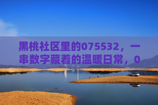 黑桃社区里的075532,一串数字藏着的温暖日常,075532,黑桃社区的温暖日常印记 黑桃社区里的075532,一串数字藏着的温暖日常,075532,黑桃社区的温暖日常印记
