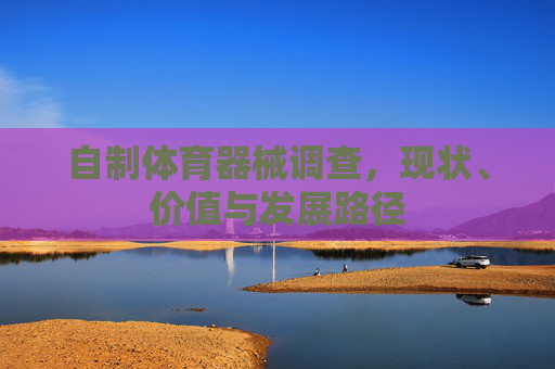 自制体育器械调查,现状、价值与发展路径 自制体育器械调查,现状、价值与发展路径