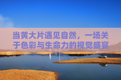 当黄大片遇见自然,一场关于色彩与生命力的视觉盛宴,黄大片遇见自然,色彩与生命力的视觉盛宴 当黄大片遇见自然,一场关于色彩与生命力的视觉盛宴,黄大片遇见自然,色彩与生命力的视觉盛宴