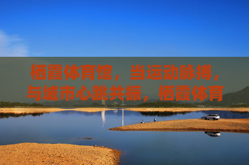 栖霞体育馆,当运动脉搏,与城市心跳共振,栖霞体育馆,运动脉搏与城市心跳同频共振 栖霞体育馆,当运动脉搏,与城市心跳共振,栖霞体育馆,运动脉搏与城市心跳同频共振