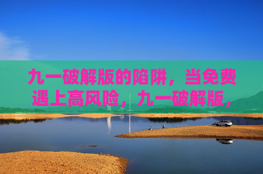 九一破解版的陷阱,当免费遇上高风险,九一破解版,免费遇上高风险的陷阱 九一破解版的陷阱,当免费遇上高风险,九一破解版,免费遇上高风险的陷阱