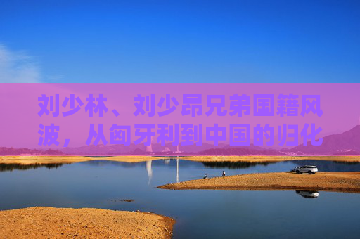 刘少林、刘少昂兄弟国籍风波，从匈牙利到中国的归化之路与争议，刘少林刘少昂兄弟国籍风波，归化之路与争议