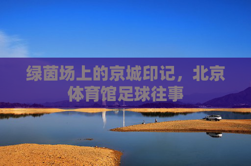 绿茵场上的京城印记,北京体育馆足球往事 绿茵场上的京城印记,北京体育馆足球往事