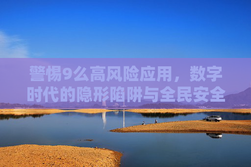 警惕9么高风险应用,数字时代的隐形陷阱与全民安全指南,警惕9么高风险应用,数字时代隐形陷阱与全民安全指南 警惕9么高风险应用,数字时代的隐形陷阱与全民安全指南,警惕9么高风险应用,数字时代隐形陷阱与全民安全指南
