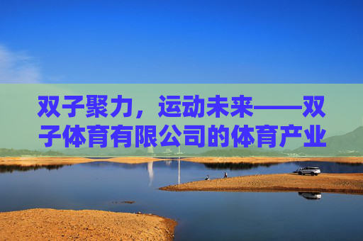 双子聚力，运动未来——双子体育有限公司的体育产业之路，双子聚力，双子体育有限公司的体育产业之路