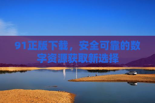 91正版下载，安全可靠的数字资源获取新选择