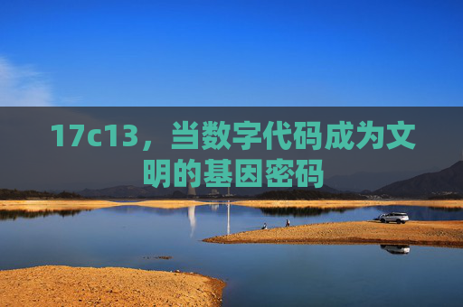 17c13,当数字代码成为文明的基因密码 17c13,当数字代码成为文明的基因密码