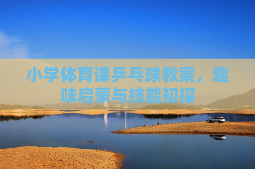 小学体育课乒乓球教案，趣味启蒙与技能初探