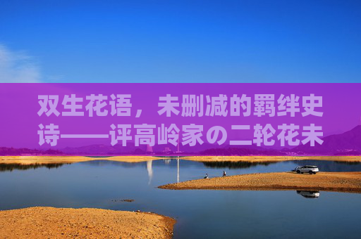 双生花语，未删减的羁绊史诗——评高岭家の二轮花未删减全集，双生花语，高岭家の二轮花未删减羁绊史诗