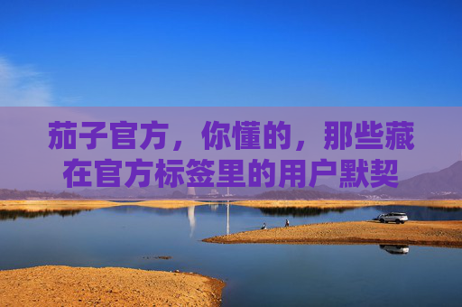 茄子官方,你懂的,那些藏在官方标签里的用户默契 茄子官方,你懂的,那些藏在官方标签里的用户默契