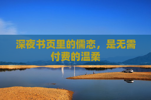 深夜书页里的儒恋,是无需付费的温柔 深夜书页里的儒恋,是无需付费的温柔