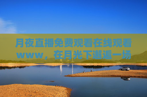 月夜直播免费观看在线观看www，在月光下邂逅一场不期而遇的温暖