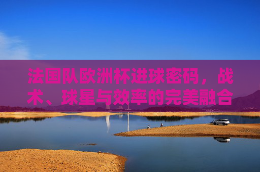 法国队欧洲杯进球密码，战术、球星与效率的完美融合，法国队欧洲杯进球密码，战术、球星与效率的完美融合