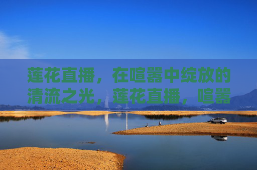 莲花直播,在喧嚣中绽放的清流之光,莲花直播,喧嚣中的清流之光 莲花直播,在喧嚣中绽放的清流之光,莲花直播,喧嚣中的清流之光