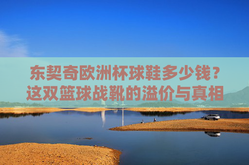 东契奇欧洲杯球鞋多少钱?这双篮球战靴的溢价与真相,东契奇欧洲杯球鞋溢价真相,价格虚高还是物有所值? 东契奇欧洲杯球鞋多少钱?这双篮球战靴的溢价与真相,东契奇欧洲杯球鞋溢价真相,价格虚高还是物有所值?