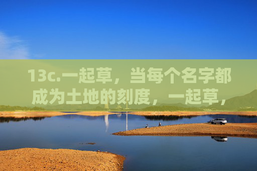 13c.一起草,当每个名字都成为土地的刻度,一起草,名字是土地的刻度 13c.一起草,当每个名字都成为土地的刻度,一起草,名字是土地的刻度