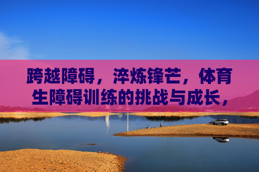 跨越障碍，淬炼锋芒，体育生障碍训练的挑战与成长，体育生障碍训练，跨越淬炼，锋芒自长
