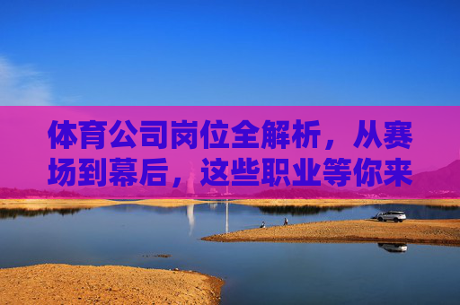体育公司岗位全解析，从赛场到幕后，这些职业等你来选，体育公司岗位全解析，从赛场到幕后，职业等你来选