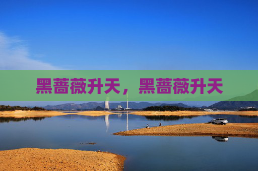 黑蔷薇升天，黑蔷薇升天