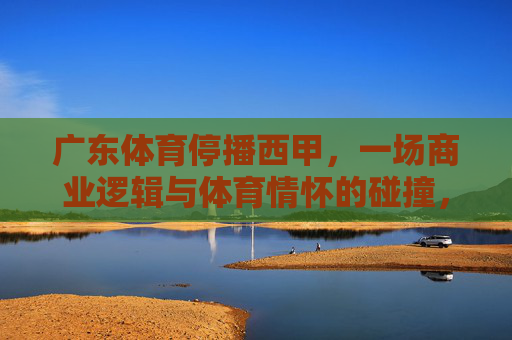 广东体育停播西甲，一场商业逻辑与体育情怀的碰撞，广东体育停播西甲，商业逻辑与体育情怀的碰撞