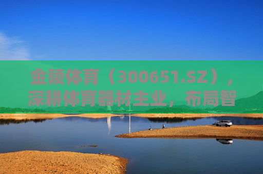 金陵体育(300651.SZ),深耕体育器材主业,布局智慧体育新增长极,金陵体育,深耕体育器材主业,布局智慧体育新增长极 金陵体育(300651.SZ),深耕体育器材主业,布局智慧体育新增长极,金陵体育,深耕体育器材主业,布局智慧体育新增长极
