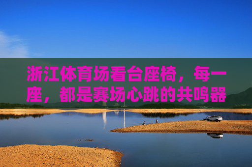 浙江体育场看台座椅，每一座，都是赛场心跳的共鸣器，浙江体育场看台座椅，赛场心跳的共鸣器