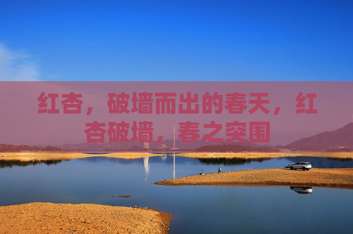 红杏，破墙而出的春天，红杏破墙，春之突围