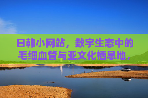 日韩小网站,数字生态中的毛细血管与亚文化栖息地,日韩小网站,数字生态的毛细血管与亚文化栖息地 日韩小网站,数字生态中的毛细血管与亚文化栖息地,日韩小网站,数字生态的毛细血管与亚文化栖息地