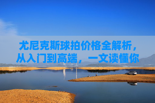 尤尼克斯球拍价格全解析,从入门到高端,一文读懂你的预算之选,尤尼克斯球拍价格指南,入门到高端预算之选 尤尼克斯球拍价格全解析,从入门到高端,一文读懂你的预算之选,尤尼克斯球拍价格指南,入门到高端预算之选