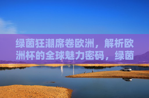 绿茵狂潮席卷欧洲,解析欧洲杯的全球魅力密码,绿茵狂潮,欧洲杯的全球魅力密码 绿茵狂潮席卷欧洲,解析欧洲杯的全球魅力密码,绿茵狂潮,欧洲杯的全球魅力密码