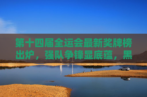 第十四届全运会最新奖牌榜出炉，强队争锋显底蕴，黑马突围展新姿，第十四届全运会最新奖牌榜出炉，强队争锋显底蕴，黑马突围展新姿