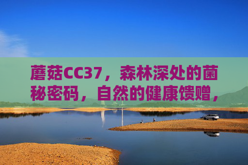 蘑菇CC37,森林深处的菌秘密码,自然的健康馈赠,蘑菇CC37,森林深处的菌秘密码与自然健康馈赠 蘑菇CC37,森林深处的菌秘密码,自然的健康馈赠,蘑菇CC37,森林深处的菌秘密码与自然健康馈赠