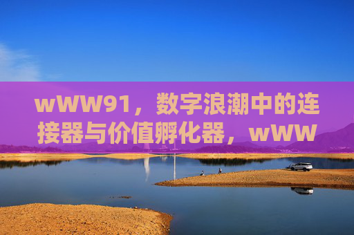 wWW91,数字浪潮中的连接器与价值孵化器,wWW91,数字浪潮中的连接器与价值孵化器 wWW91,数字浪潮中的连接器与价值孵化器,wWW91,数字浪潮中的连接器与价值孵化器