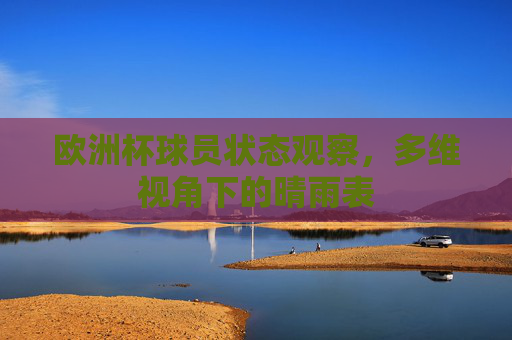 欧洲杯球员状态观察,多维视角下的晴雨表 欧洲杯球员状态观察,多维视角下的晴雨表