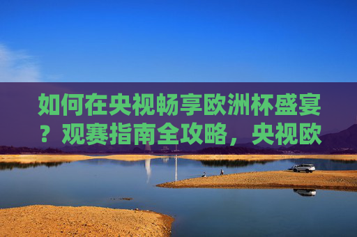 如何在央视畅享欧洲杯盛宴?观赛指南全攻略,央视欧洲杯观赛指南,畅享盛宴全攻略 如何在央视畅享欧洲杯盛宴?观赛指南全攻略,央视欧洲杯观赛指南,畅享盛宴全攻略