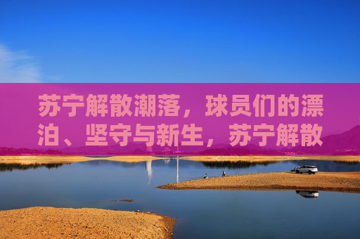 苏宁解散潮落,球员们的漂泊、坚守与新生,苏宁解散潮落,球员漂泊、坚守与新生 苏宁解散潮落,球员们的漂泊、坚守与新生,苏宁解散潮落,球员漂泊、坚守与新生