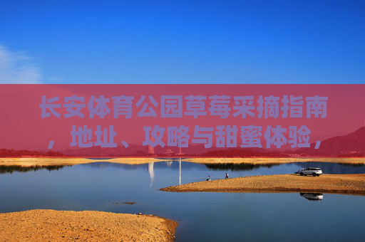 长安体育公园草莓采摘指南，地址、攻略与甜蜜体验，长安体育公园草莓采摘指南，地址、攻略与甜蜜体验