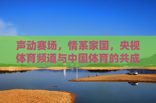 声动赛场,情系家国,央视体育频道与中国体育的共成长之路 声动赛场,情系家国,央视体育频道与中国体育的共成长之路