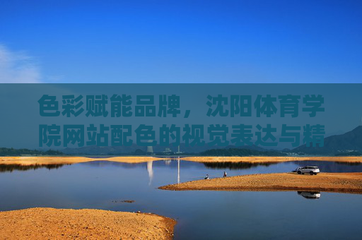 色彩赋能品牌，沈阳体育学院网站配色的视觉表达与精神内核，色彩赋能品牌，沈阳体育学院网站配色的视觉表达与精神内核