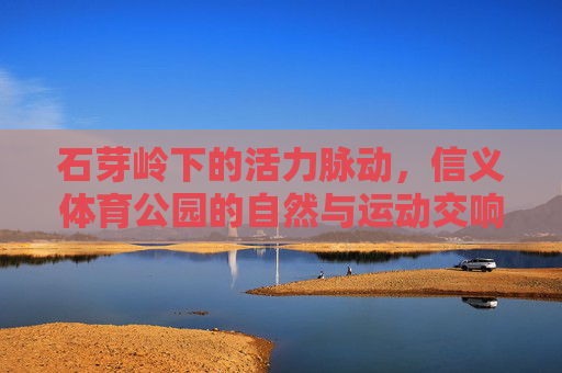 石芽岭下的活力脉动,信义体育公园的自然与运动交响曲,石芽岭下的活力运动交响 石芽岭下的活力脉动,信义体育公园的自然与运动交响曲,石芽岭下的活力运动交响