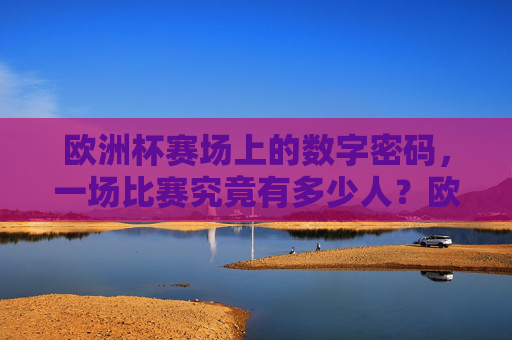 欧洲杯赛场上的数字密码,一场比赛究竟有多少人?欧洲杯赛场密码,一场比赛究竟有多少人? 欧洲杯赛场上的数字密码,一场比赛究竟有多少人?欧洲杯赛场密码,一场比赛究竟有多少人?