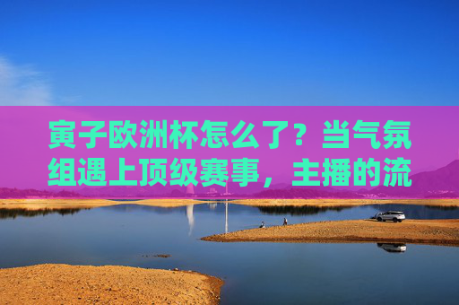 寅子欧洲杯怎么了？当气氛组遇上顶级赛事，主播的流量与专业之争，寅子欧洲杯，气氛组主播的流量与专业之辩